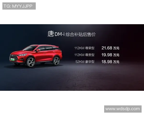 重庆极限运动队节奏表现分析与提升策略探讨